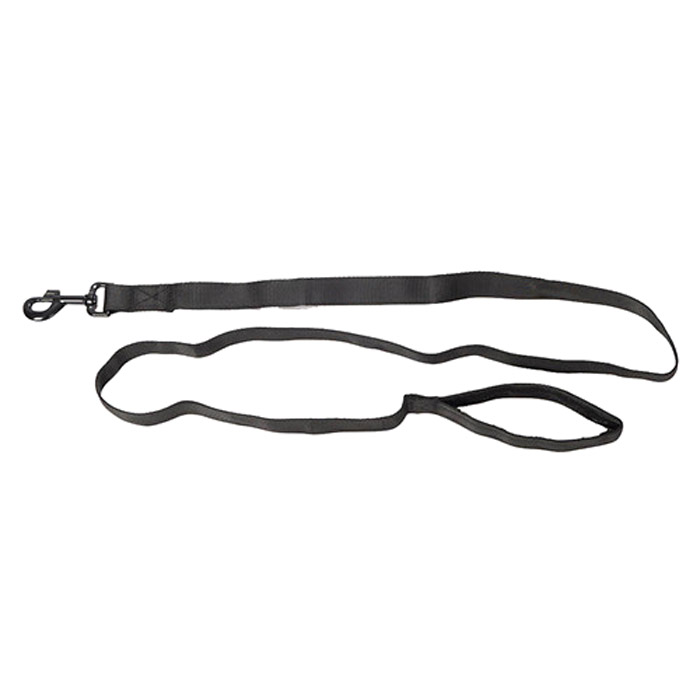 Guardian Point 6-Foot Leash