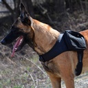 Guardian Point Patrol Harness