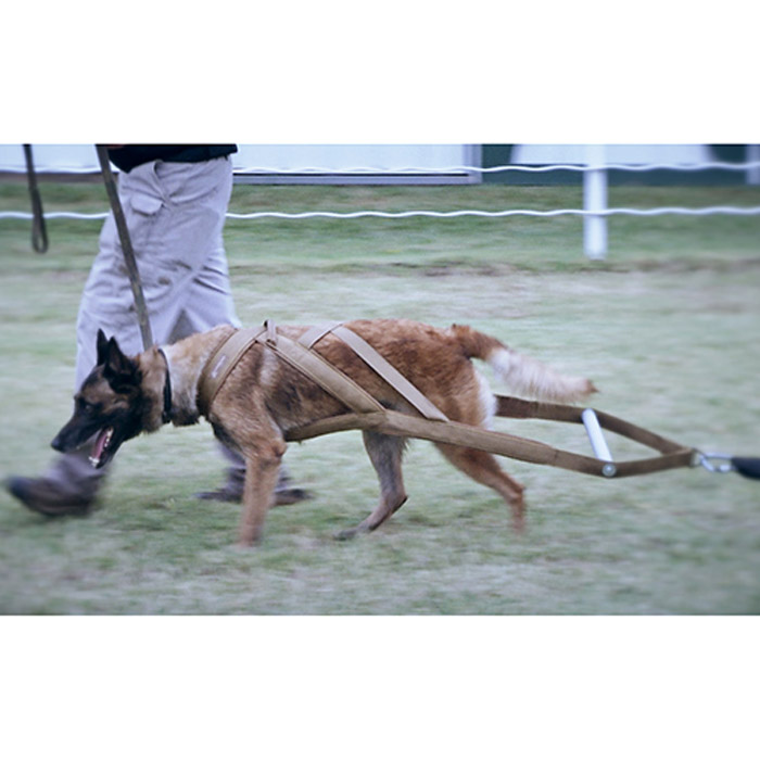 Guardian Point Pull Harness