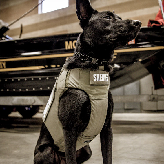 Armor Express Agile Canine Vest (ACV)