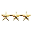Hero's Pride Star Insignia (Pair)