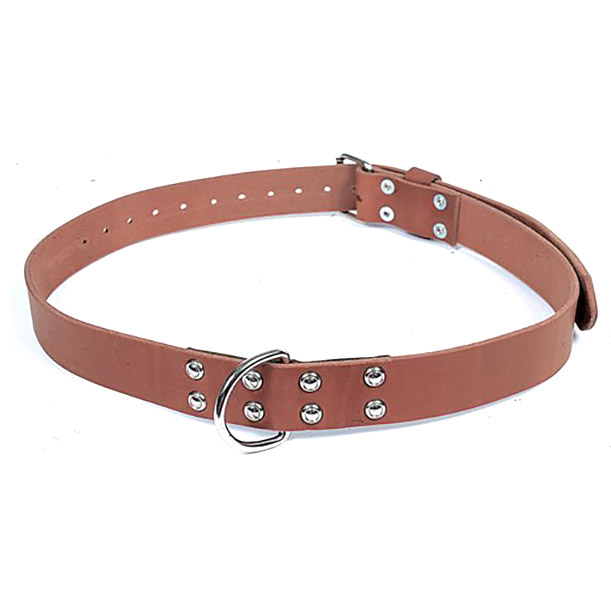 Gould & Goodrich Leather Restraining Belt