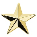 Hero's Pride Star Insignia (Pair)