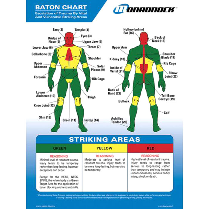 Monadnock Trauma Chart Card