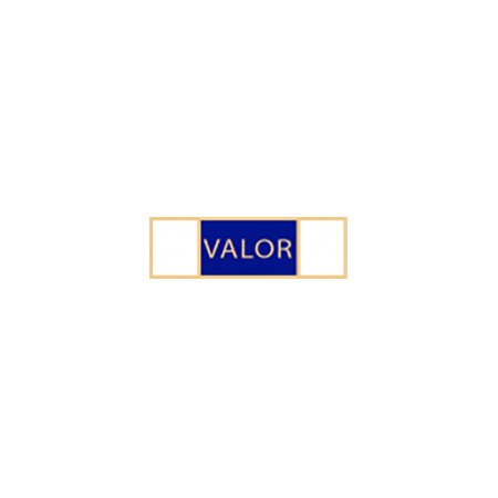 Smith & Warren SAB3 1 3/8" Valor Award Bar