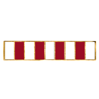 Blackinton A8885-D Nine Section Commendation Bar